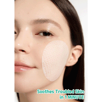 BRING GREEN Tea Tree Cica Trouble Soothing Toner Pad 90 pads