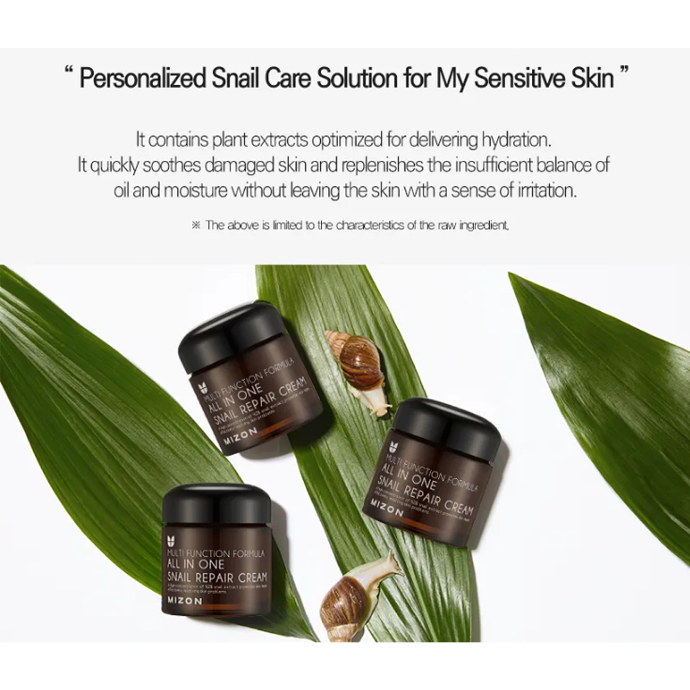 MIZON All In One Snail Repair Cream 75ml