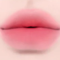 Dinto Madame Butterfly Collection Blurring Lip Veil 3.5ml 10 colors