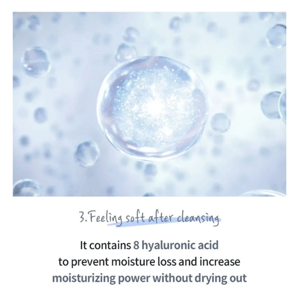 esfolio Hyaluronic Acid Houttuynia Cordata Cleansing Foam 100ml