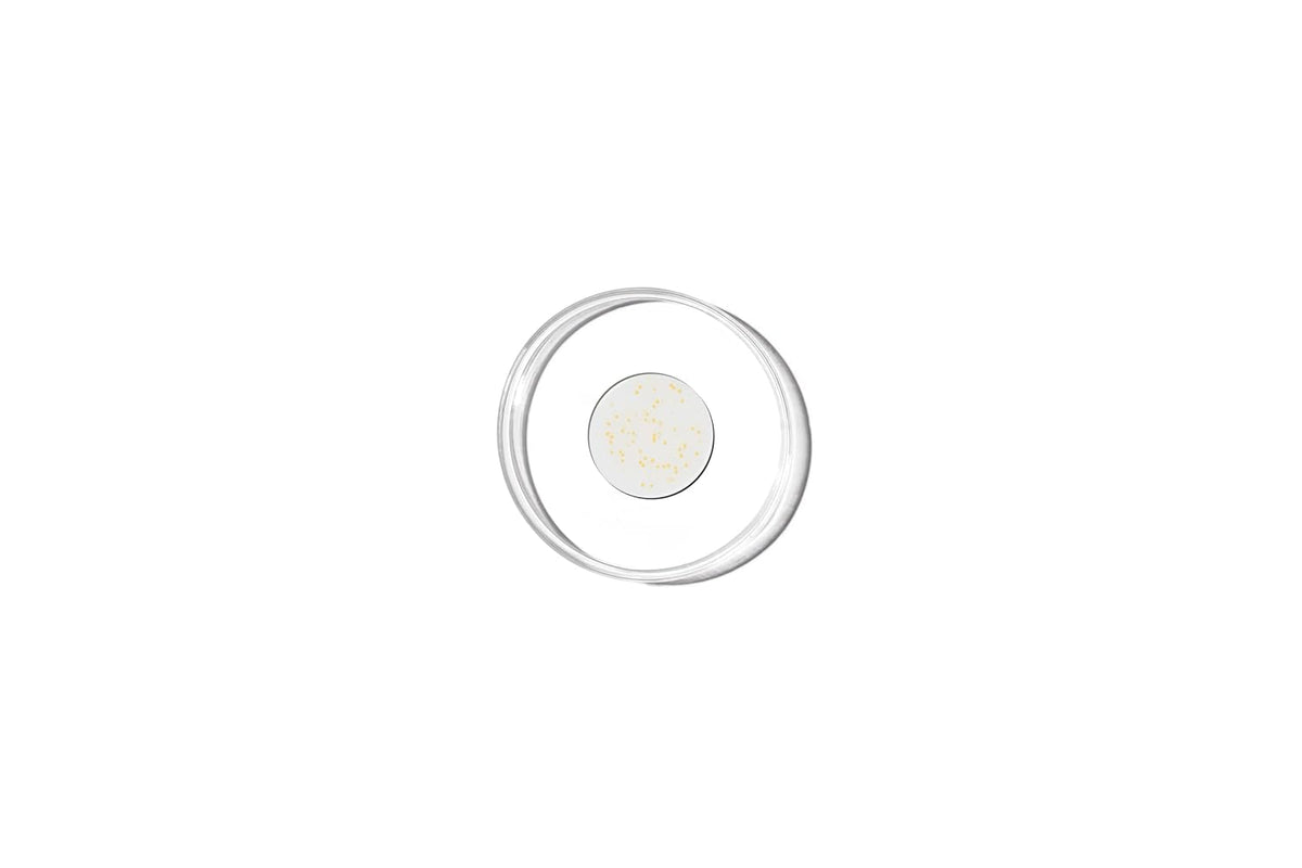 Genabelle PDRN Vita Toning Ampoule 30ml