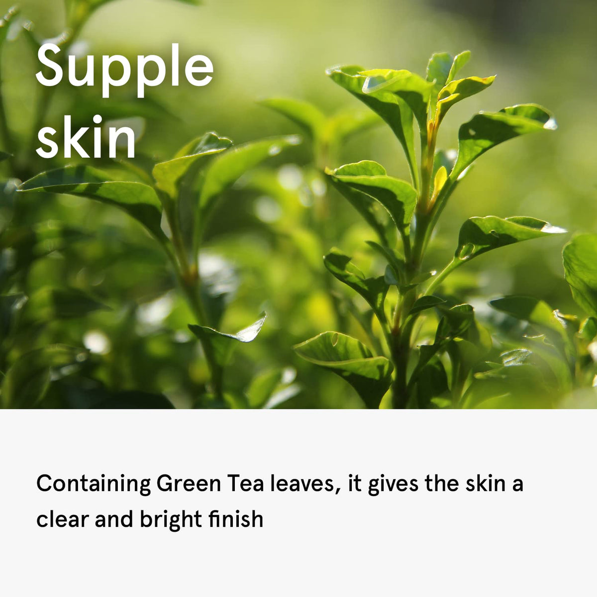 ONE THING Camellia Sinensis Leaf Extract 300ml