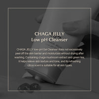 ONEOSEVEN Chaga Jelly Low pH Cleanser 120ml