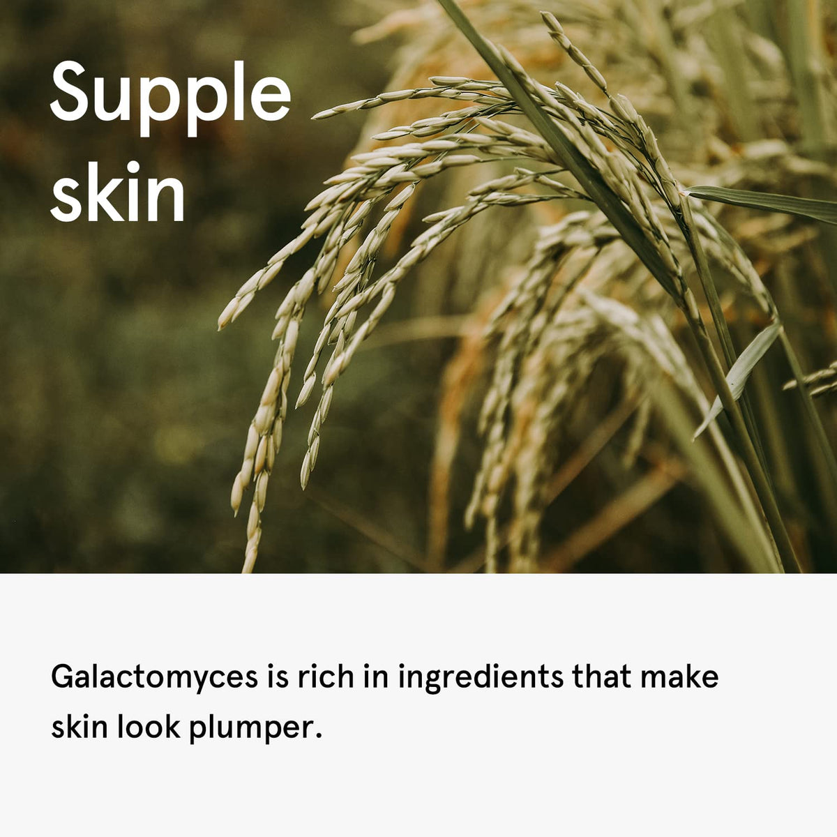 ONE THING Galactomyces Ferment Filtrate 150ml