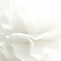 BEYOND Angel Aqua Cica Cream 150ml