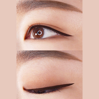 LIPHIP Liquid Eyeliner 0.6g 2 Colors