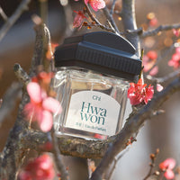 Chwi Eau De Parfum 50ml