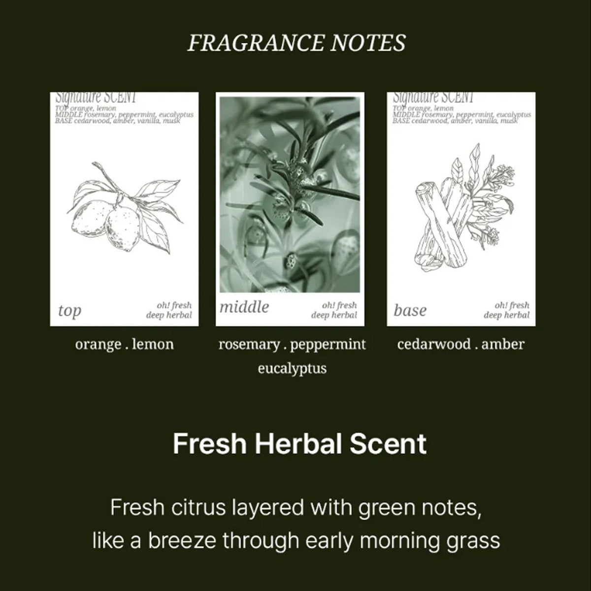 HAIR+ Oh! Fresh Deep Herbal Water Scaler 200ml