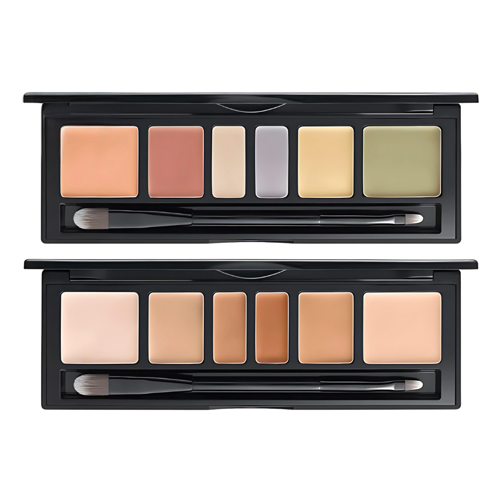 JUNG SAEM MOOL Artist Concealer Palette 6.6g