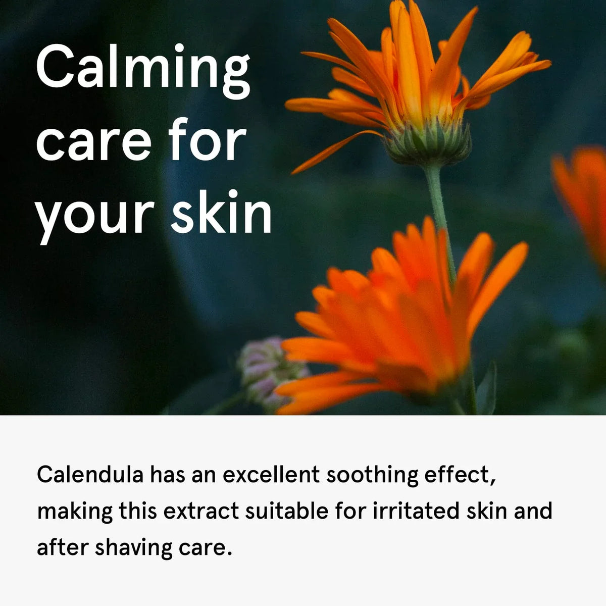 ONE THING Calendula Officinalis Flower Extract 150ml