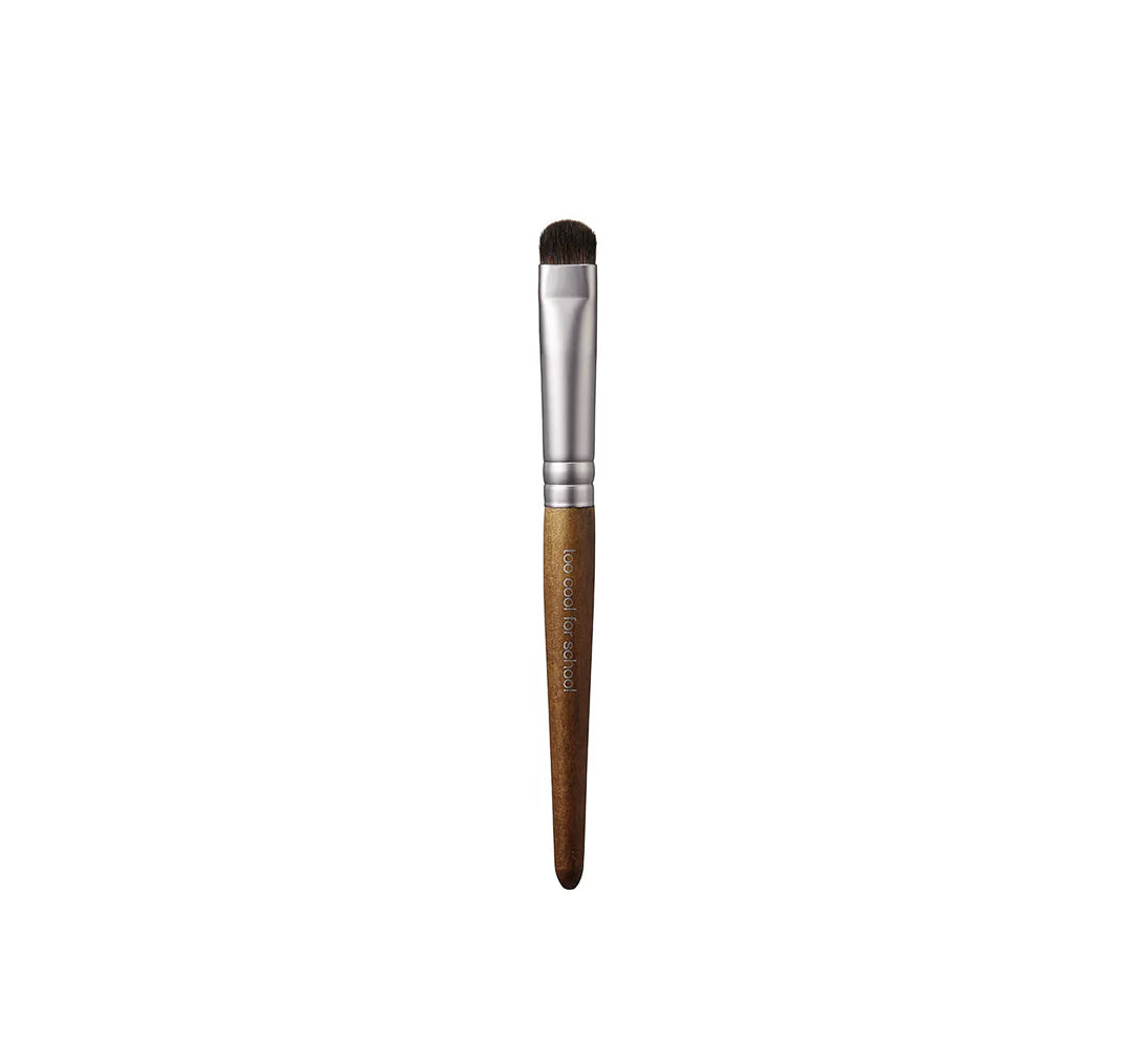 too cool for school Artist Vegan Brush Kit