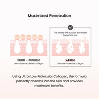 Biodance Pore Perfecting Collagen Peptide Cream 50ml