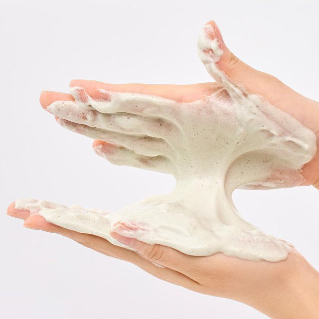 papa recipe Gelato Pack Cleanser 100ml 4 types