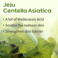 Ongredients Jeju Cica Cleansing Ball 110g