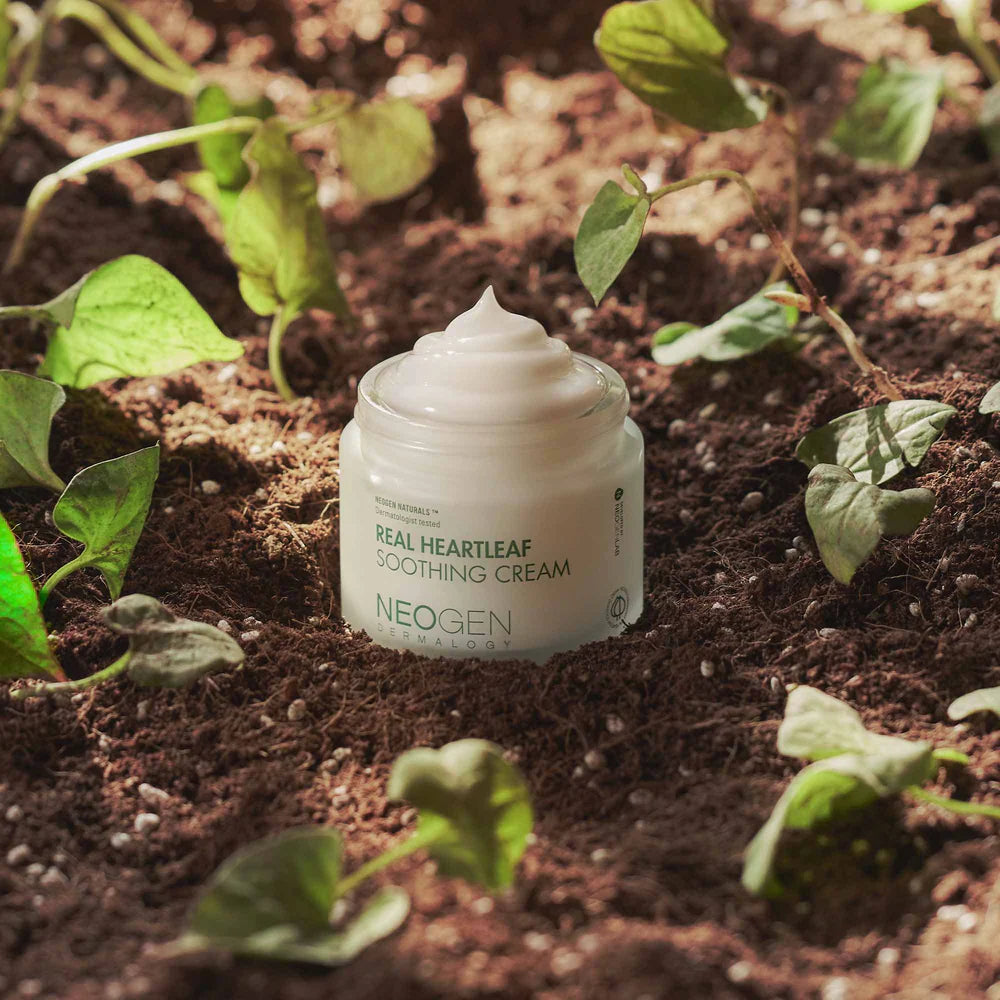 NEOGEN Real Heartleaf Soothing Cream 80g