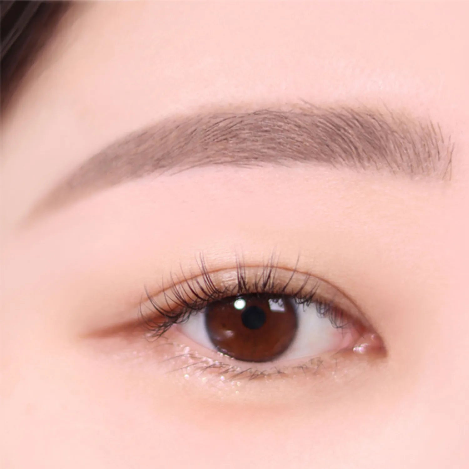 02 Taupe