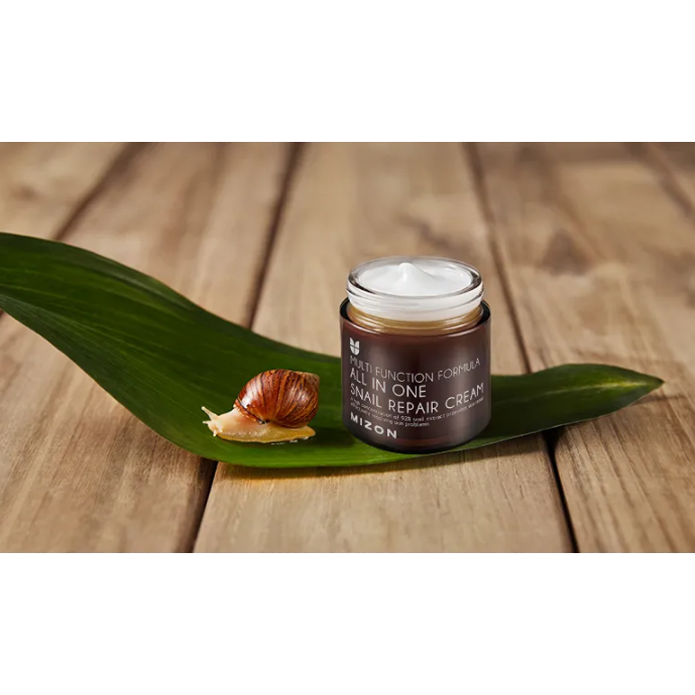 MIZON All In One Snail Repair Cream 75ml