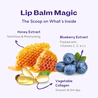 FRUDIA Blueberry Hydrating Honey Lip Balm 10g
