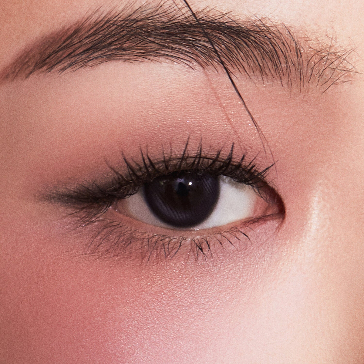 JAVIN DE SEOUL Wink Eye Shade Primer 5.5g