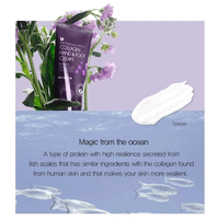 MIZON Hand & Foot Cream 100ml - 3 Types