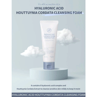 esfolio Hyaluronic Acid Houttuynia Cordata Cleansing Foam 100ml