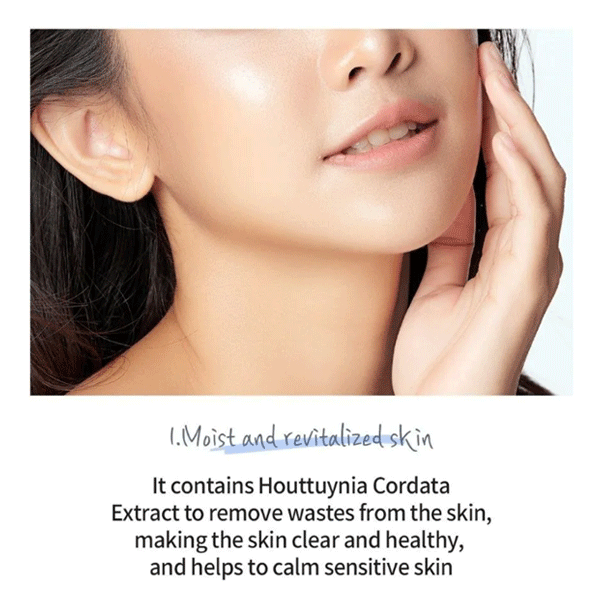 esfolio Hyaluronic Acid Houttuynia Cordata Cleansing Foam 100ml