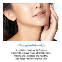 esfolio Hyaluronic Acid Houttuynia Cordata Cleansing Foam 100ml