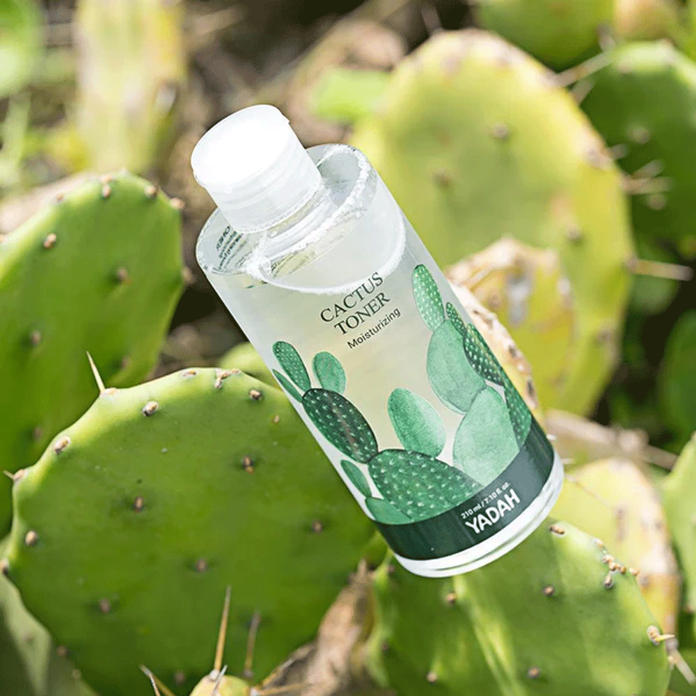 YADAH Cactus Toner 210ml