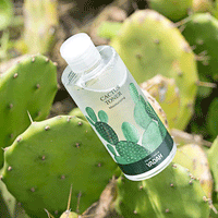 YADAH Cactus Toner 210ml