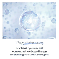 esfolio Hyaluronic Acid Houttuynia Cordata Cleansing Foam 100ml