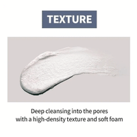 esfolio Hyaluronic Acid Houttuynia Cordata Cleansing Foam 100ml
