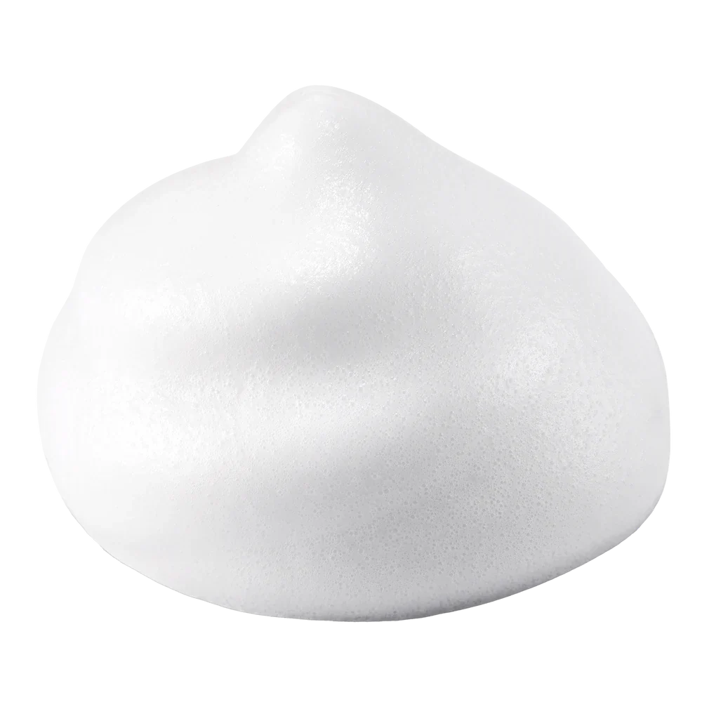 NEOGEN DERMALOGY Real Fresh Foam Cleanser Blueberry 160g