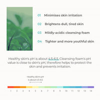 Heynature Erseongcho pH-Balancing Cleansing Foam 120ml