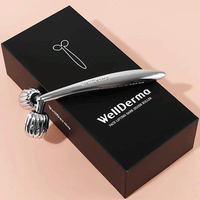 WellDerma Face Lifting Roller Dark Silver 1pcs
