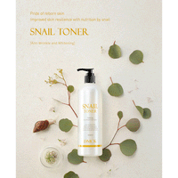 DMCK Snail Toner 500ml