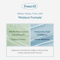 NACIFIC Hyal Booster Toner 150ml