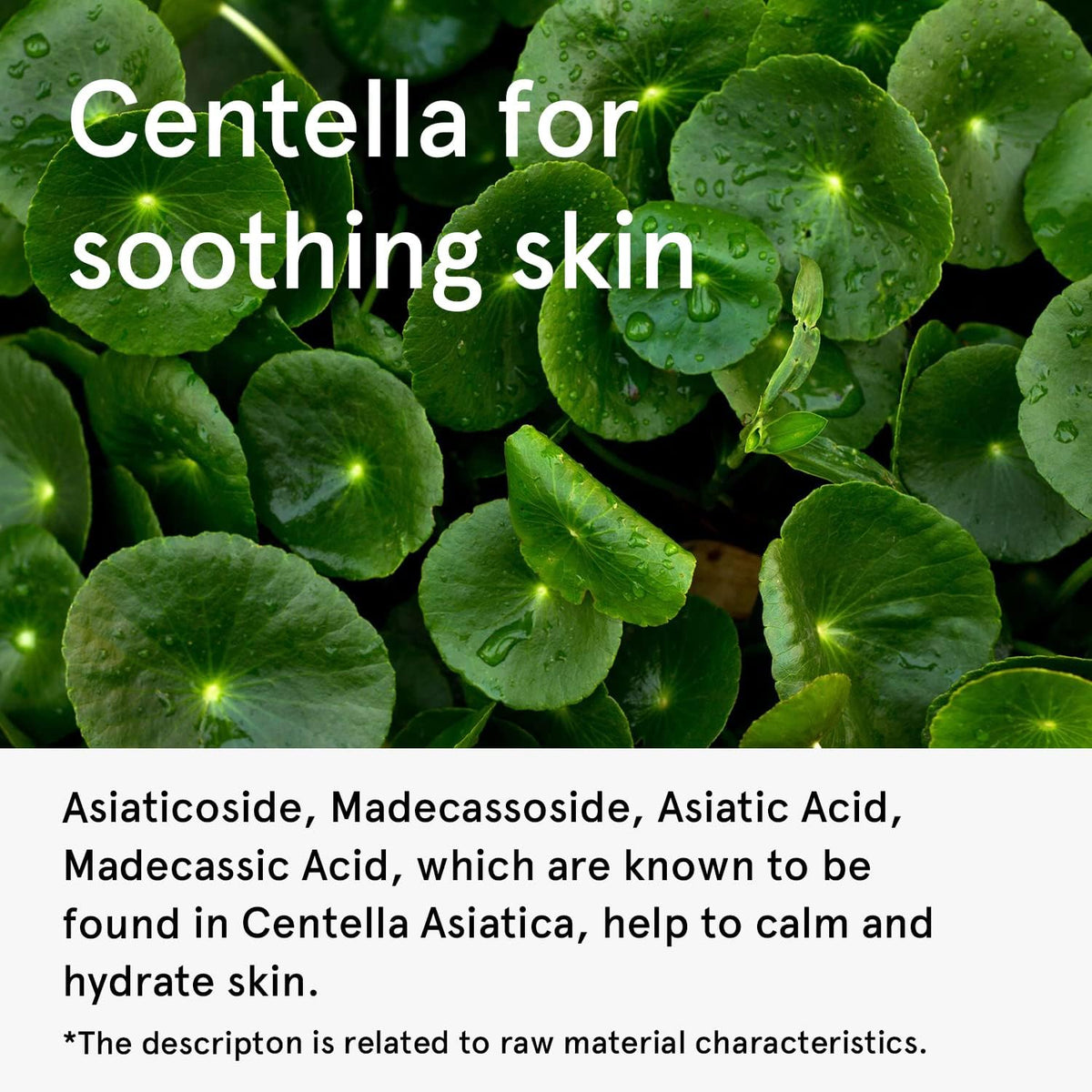 ONE THING Centella Asiatica Extract 300ml