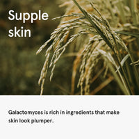 ONE THING Galactomyces Ferment Filtrate 150ml