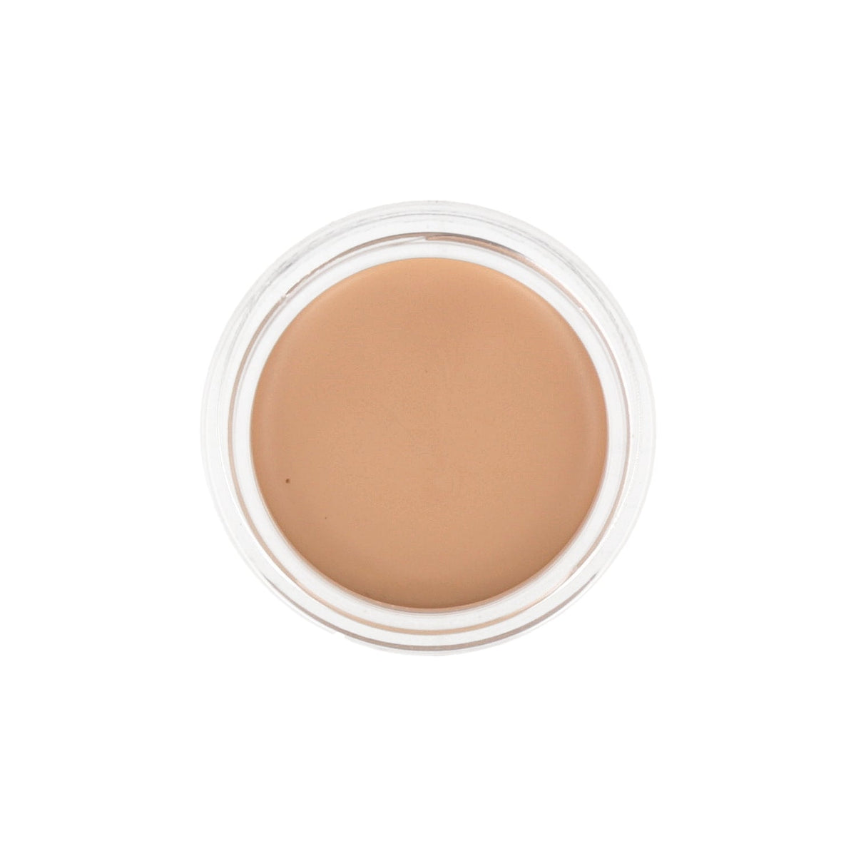 the SAEM Cover Perfection Pot Concealer 6g (Renewal)