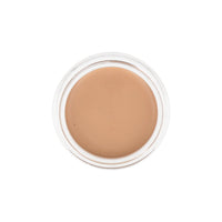 the SAEM Cover Perfection Pot Concealer 6g (Renewal)