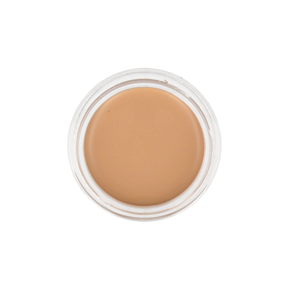the SAEM Cover Perfection Pot Concealer 6g (Renewal)