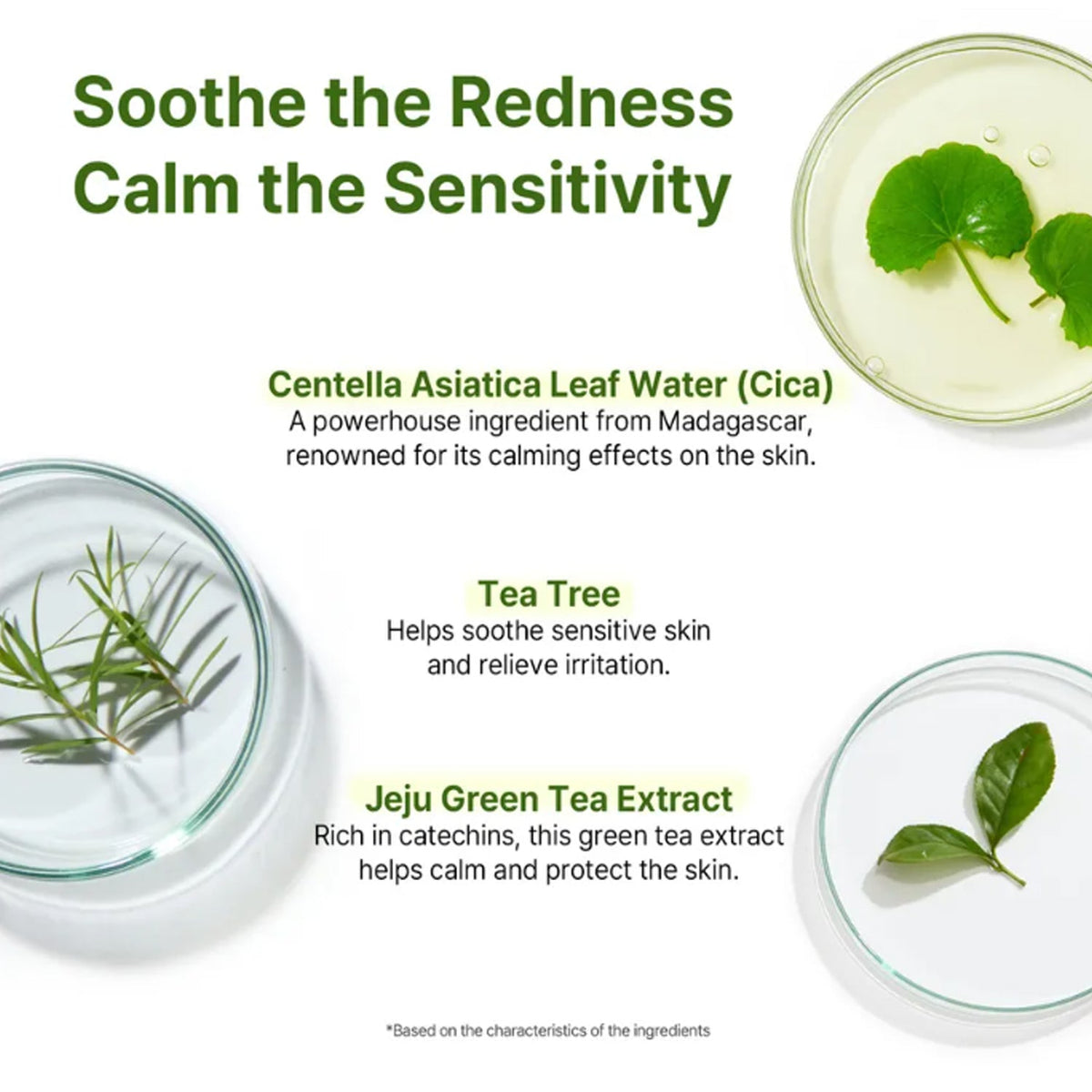 AVCA Cica Tea Tree True Calming Ampoule 100ml