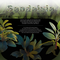 BOIS 1920 Sandalvia 18ml