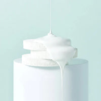 BRING GREEN Tea Tree Cica Tone-Up Sun Cushion SPF50+ PA++++ 15g