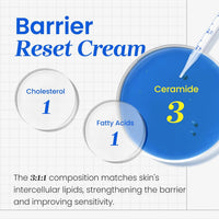 CNP Laboratory Derma+Answer Barrier Reset Cream 80ml