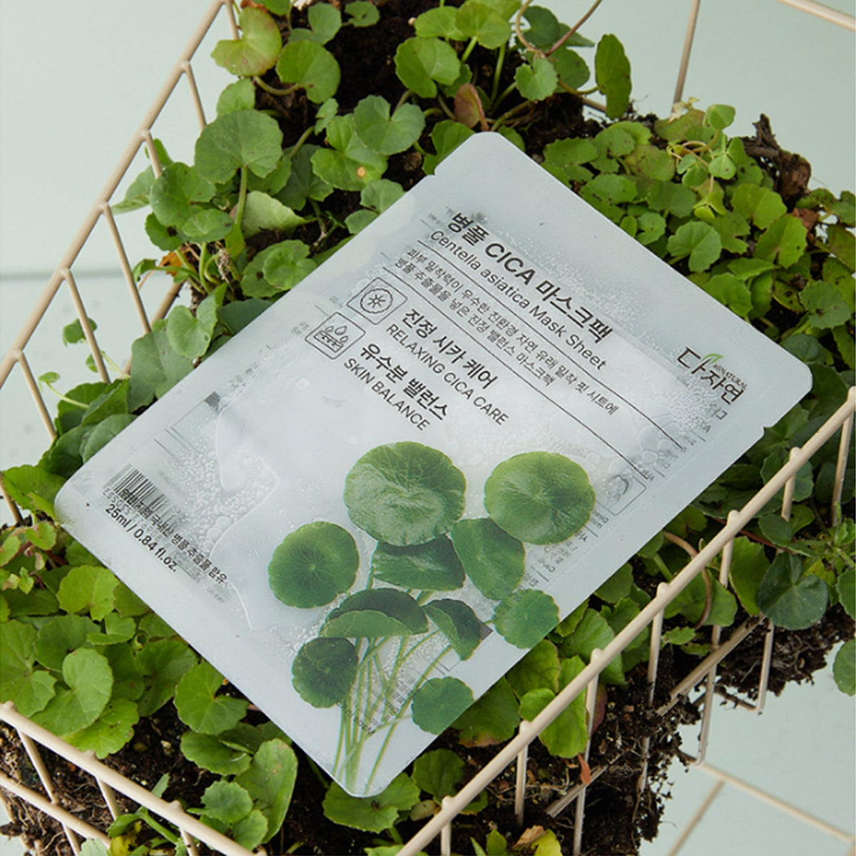 Dajayeon CICA Centella Asiatica Mask Pack (13 Sheets) + Grape Mask Pack (13 Sheets)
