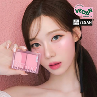 espoir Tone Pairing Cheek 9g * 4 colors