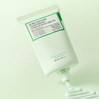 FULLY Tone Up Sun Cream [Choose 1 from 3 Options]