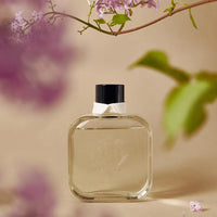HOTEL DAWSON Jardin Midnight Room Diffuser (250ml) - Aromatic Wood Scent (Main Diffuser + Fur Coaster + 5 Reed Sticks Set)