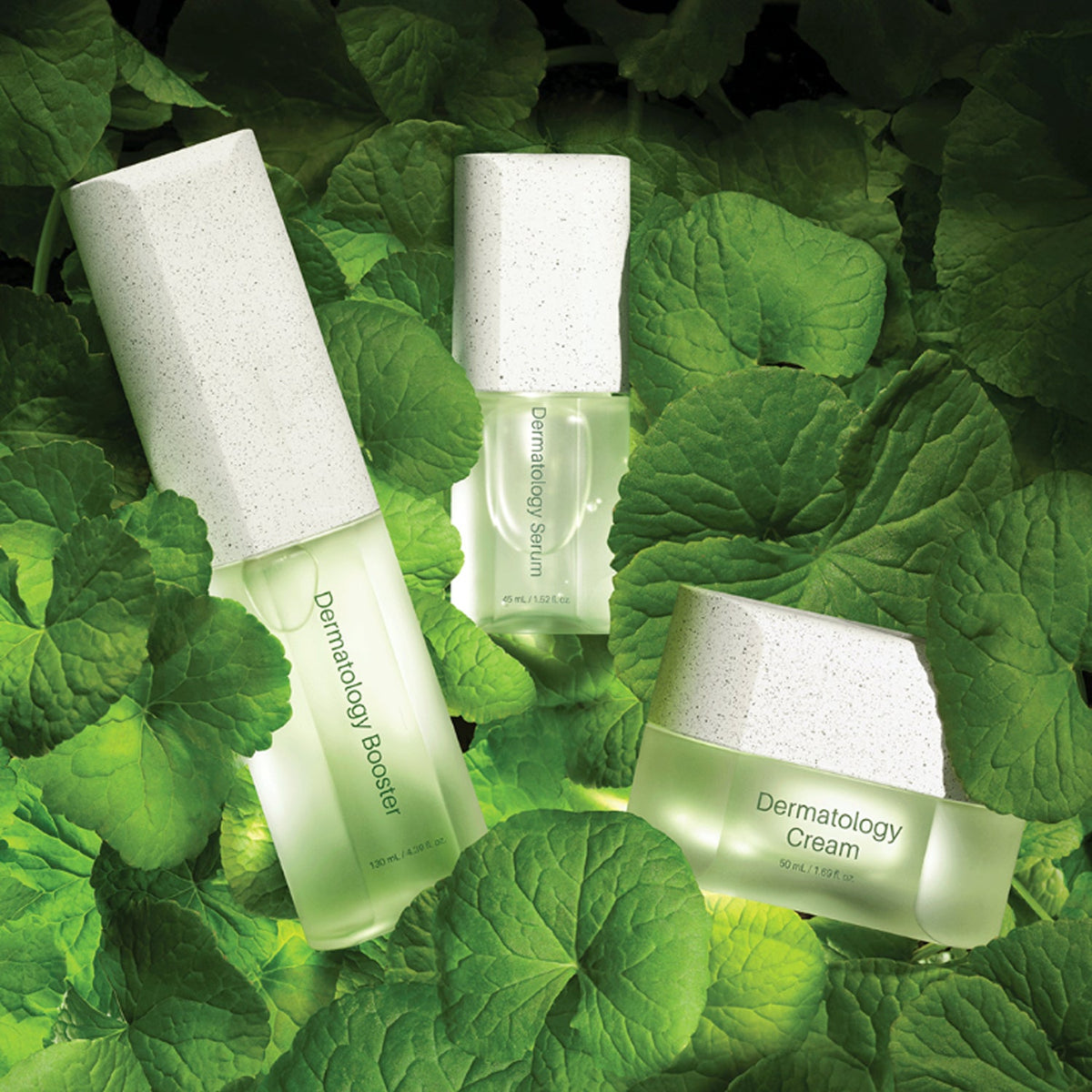 INCELLDERM Dermatology 3-Step Special Set (Booster, Serum, Cream)
